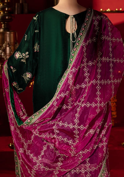 Nureh Embroidered Pakistani Luxury Velvet Dress