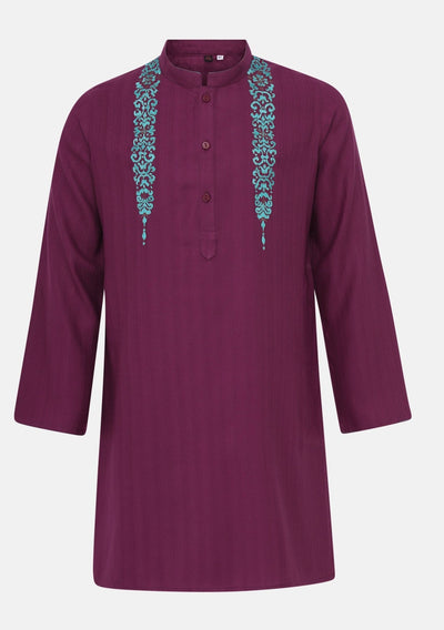 Aarong Embroidered Viscose Panjabi - db28629