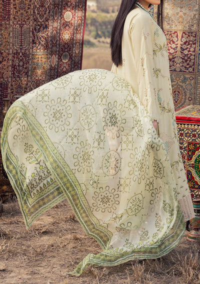 Adan's Libas Traditional Attire Pakistani Dress - db28171