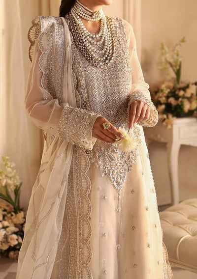 Akbar Aslam Azucena Pakistani Luxury Organza Dress - db27210