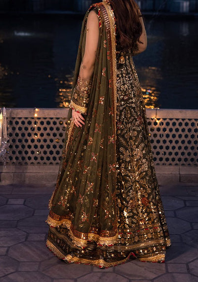 Asim Jofa Chandni Raatein Pakistani Net Anarkali - db27063