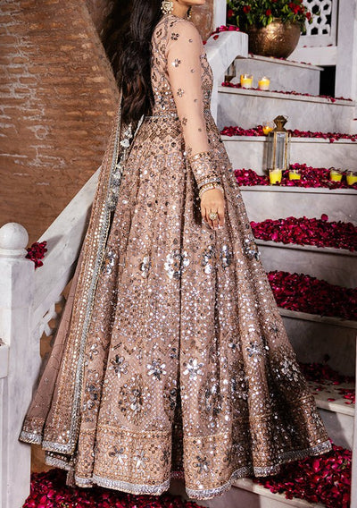 Asim Jofa Jaan-e-jahan Pakistani Chiffon Anarkali - db26068