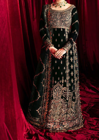 Asim Jofa Makhmal Pakistani Luxury Dress - db27796