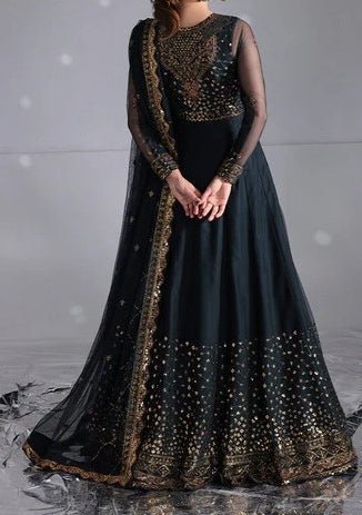 Asim Jofa Pakistani Luxury Net Dress - db29835