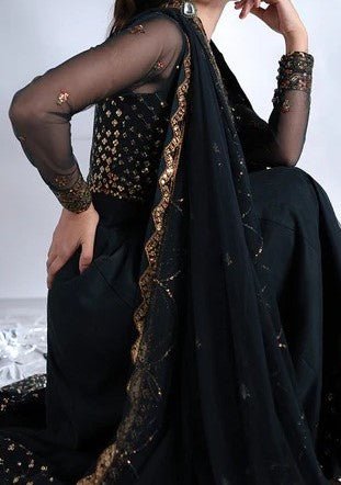 Asim Jofa Pakistani Luxury Net Dress - db29835