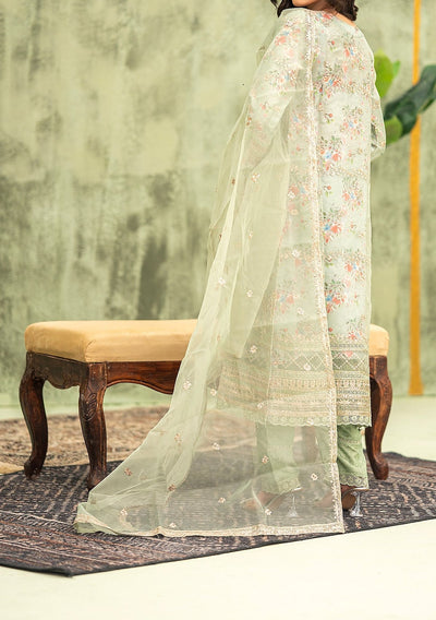 Bint - E - Noor Eshaline Embroidered Organza Dress - db29916