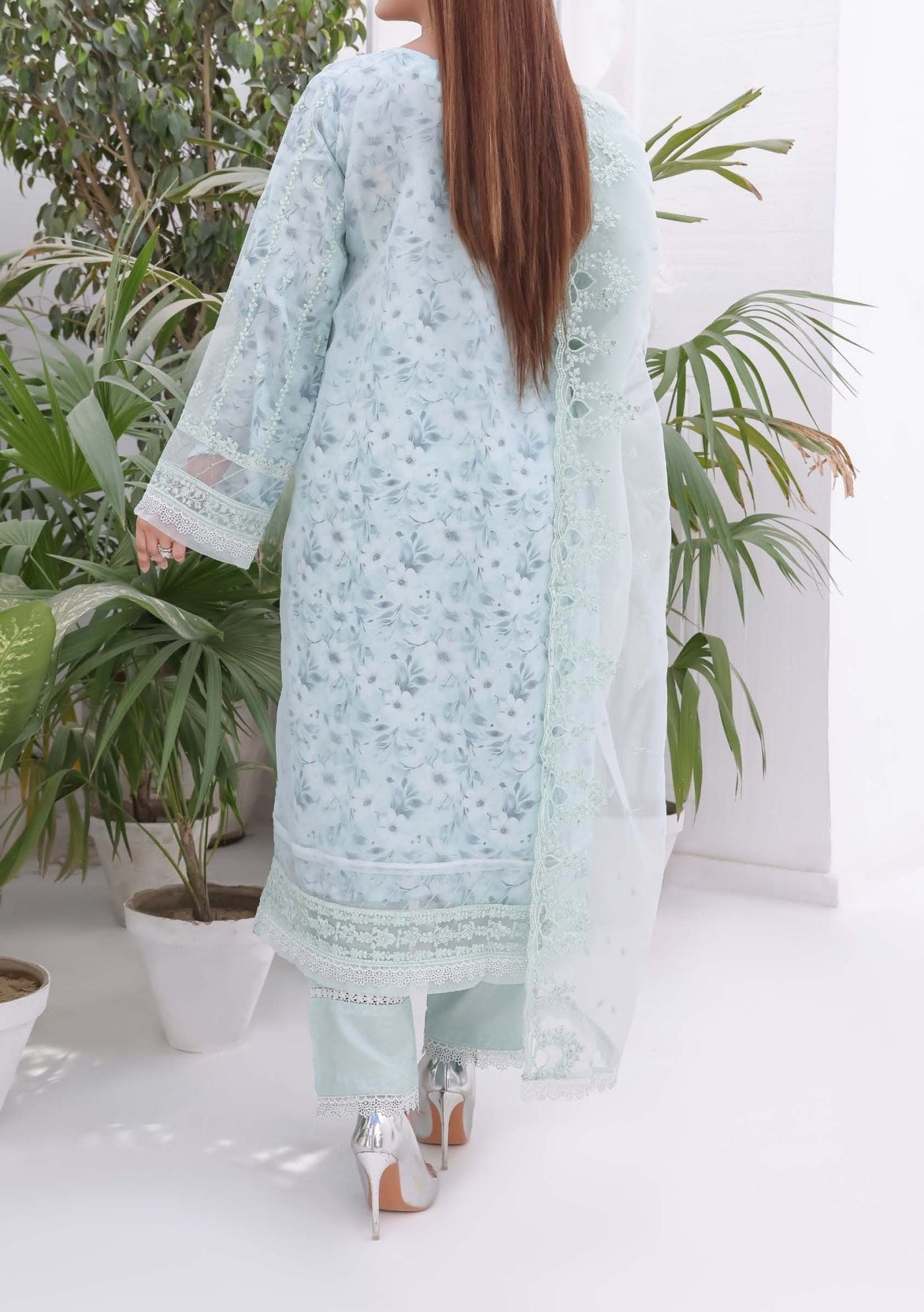 Bint E Noor Nafisa Embroidered Organza Dress - db28963