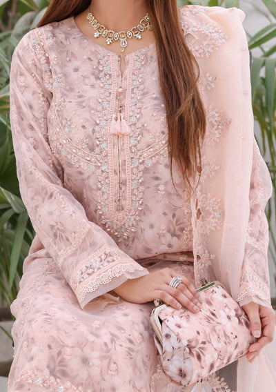 Bint E Noor Nafisa Embroidered Organza Dress - db28962