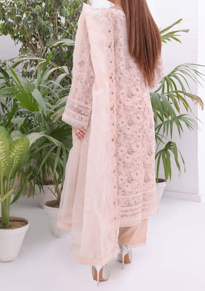 Bint E Noor Nafisa Embroidered Organza Dress - db28962