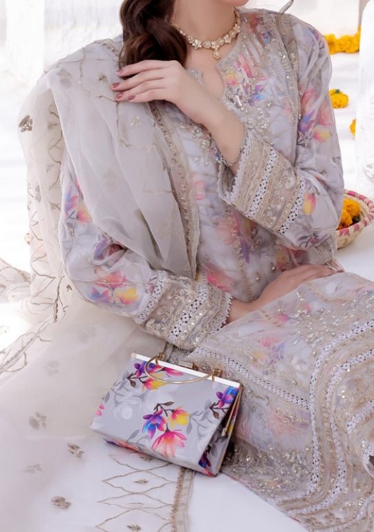 Bint E Noor Organza Dress With Accessories - db29150