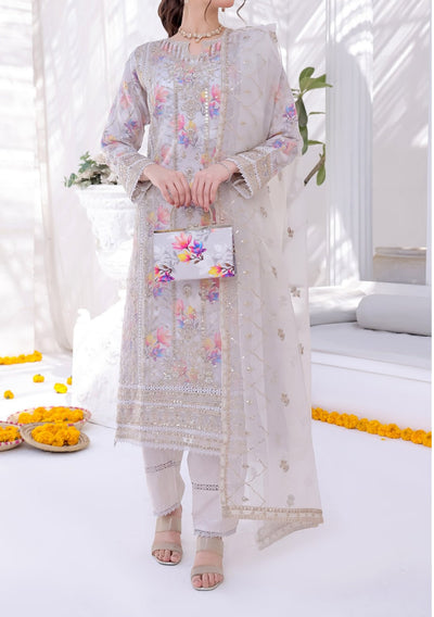 Bint E Noor Organza Dress With Accessories - db29150