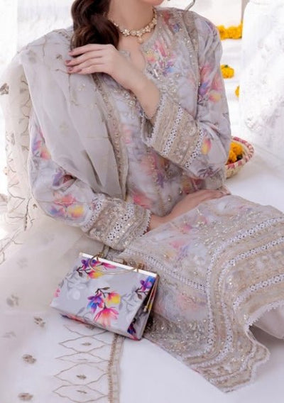 Bint E Noor Organza Dress With Accessories - db29150