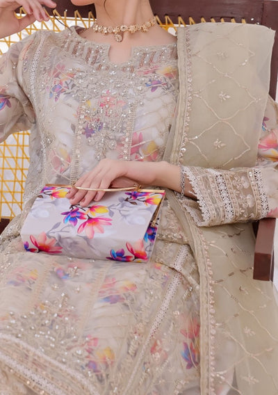 Bint E Noor Organza Dress With Accessories - db29151