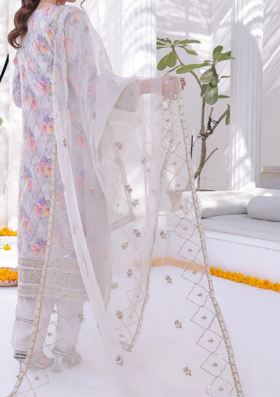 Bint E Noor Organza Dress With Accessories - db29150