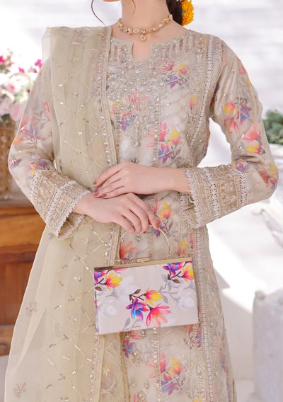 Bint E Noor Organza Dress With Accessories - db29151