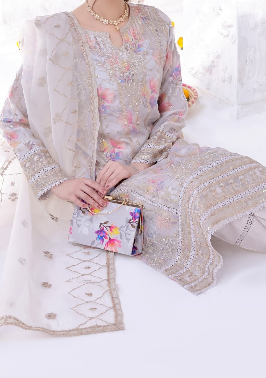 Bint E Noor Organza Dress With Accessories - db29150
