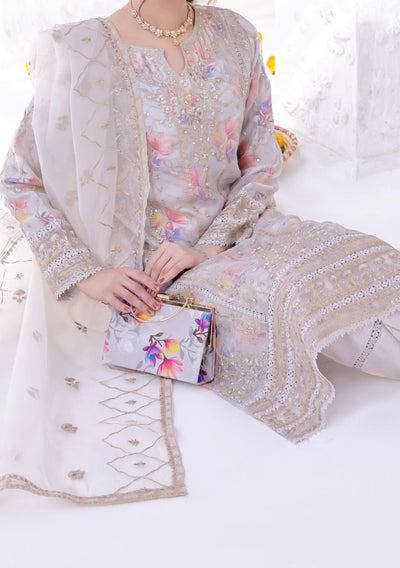 Bint E Noor Organza Dress With Accessories - db29150