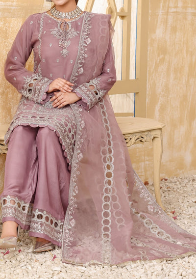 Bint - E - Noor Rania Embroidered Organza Dress - db29663