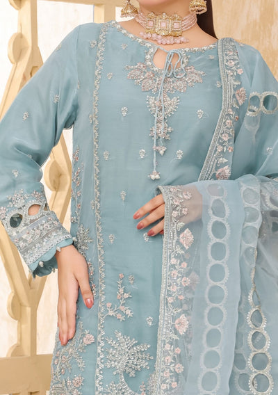 Bint - E - Noor Rania Embroidered Organza Dress - db29661