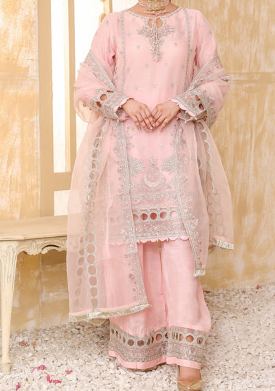 Bint - E - Noor Rania Embroidered Organza Dress - db29660