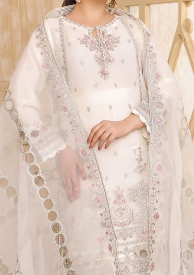 Bint - E - Noor Rania Embroidered Organza Dress - db29662