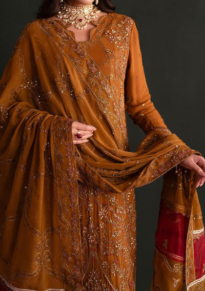 Emaan Adeel Nooresha Luxury Chiffon Dress - db28317