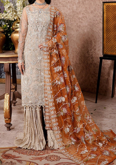 Maryam's Aarzu Pakistani Luxury Net Dress - db27625