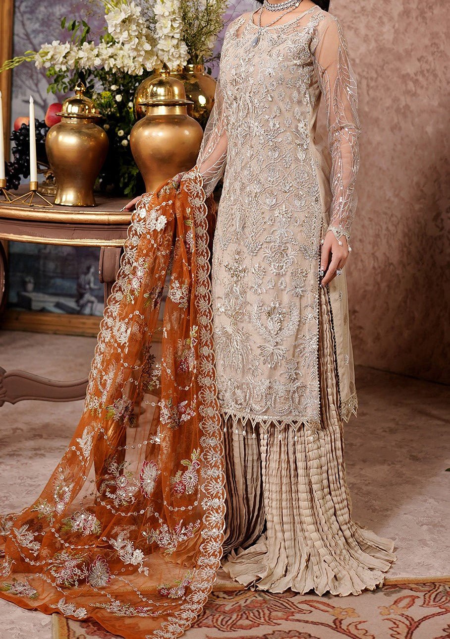 Maryam's Aarzu Pakistani Luxury Net Dress - db27625