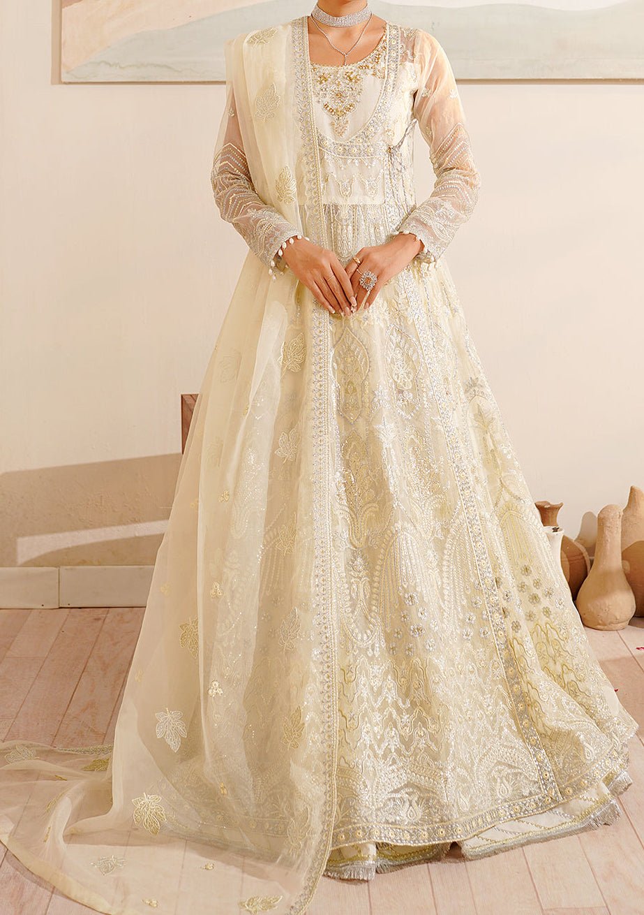 Maryam's Hayat Pakistani Luxury Organza Anarkali - db26849