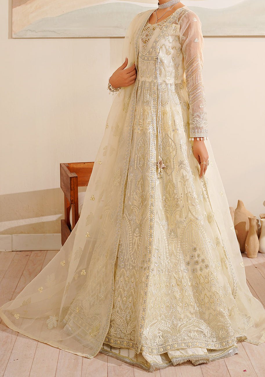 Maryam's Hayat Pakistani Luxury Organza Anarkali - db26849