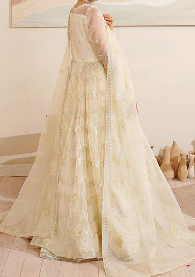 Maryam's Hayat Pakistani Luxury Organza Anarkali - db26849