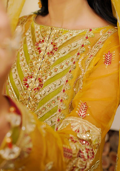 Maryam's Hayat Pakistani Luxury Organza Dress - db26848