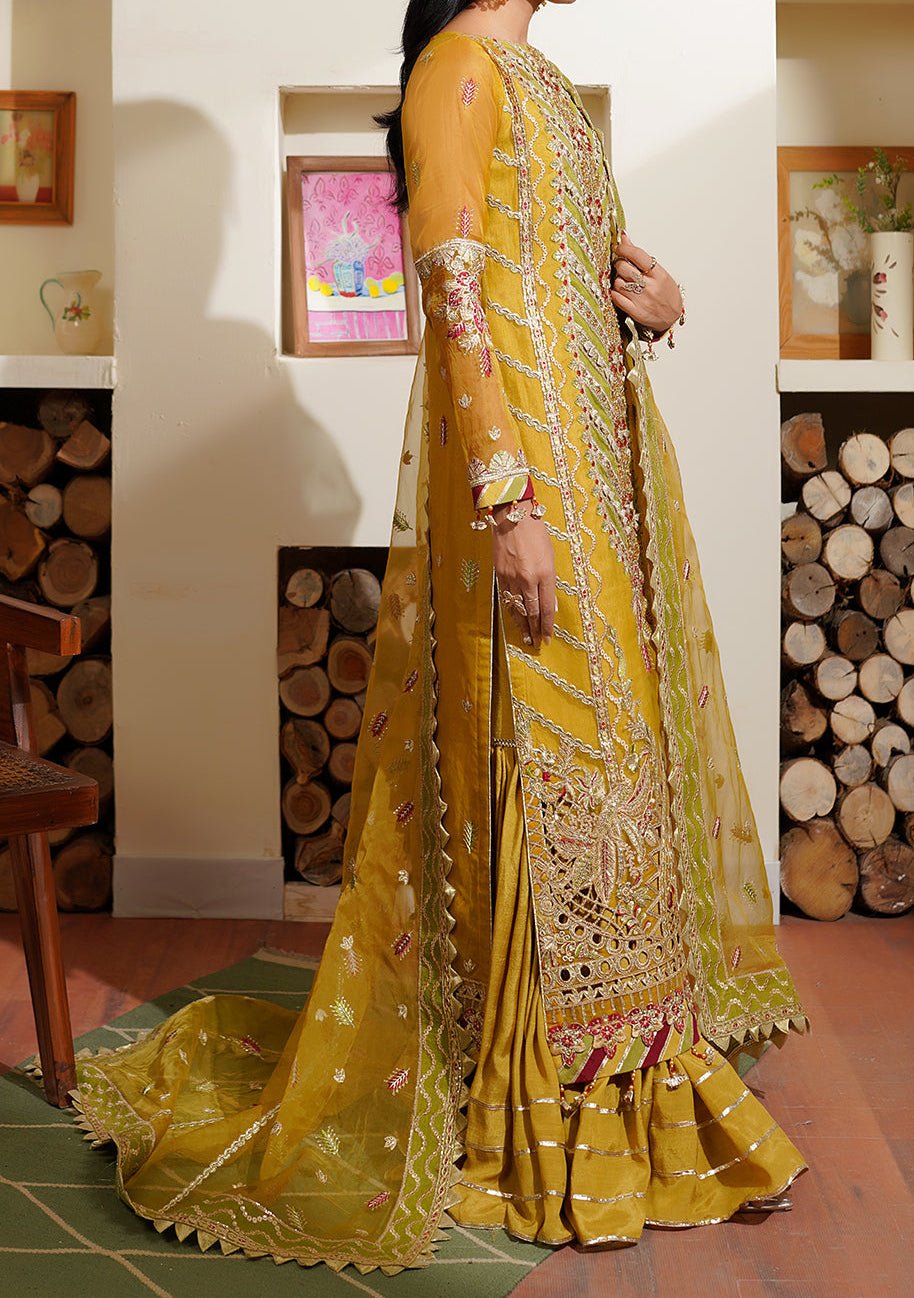 Maryam's Hayat Pakistani Luxury Organza Dress - db26848