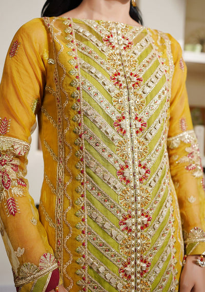 Maryam's Hayat Pakistani Luxury Organza Dress - db26848
