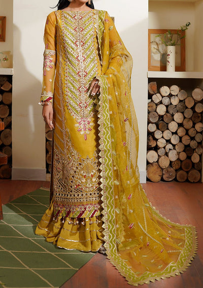 Maryam's Hayat Pakistani Luxury Organza Dress - db26848