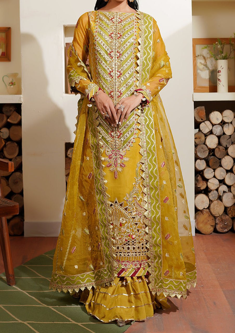 Maryam's Hayat Pakistani Luxury Organza Dress - db26848