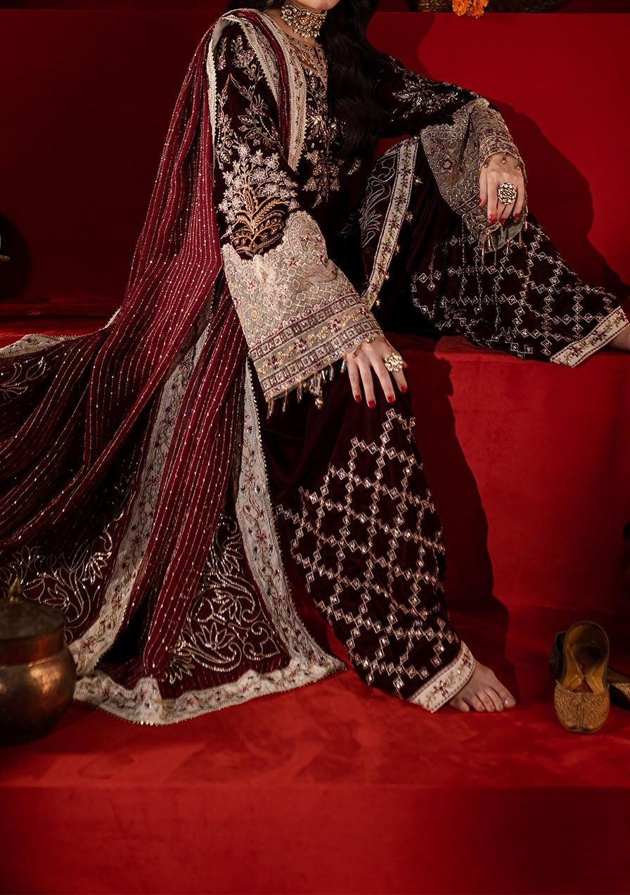 Nureh Embroidered Pakistani Luxury Velvet Dress - db27471