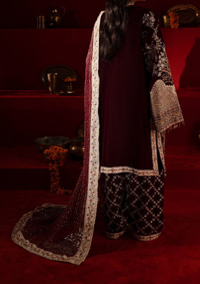 Nureh Embroidered Pakistani Luxury Velvet Dress - db27471