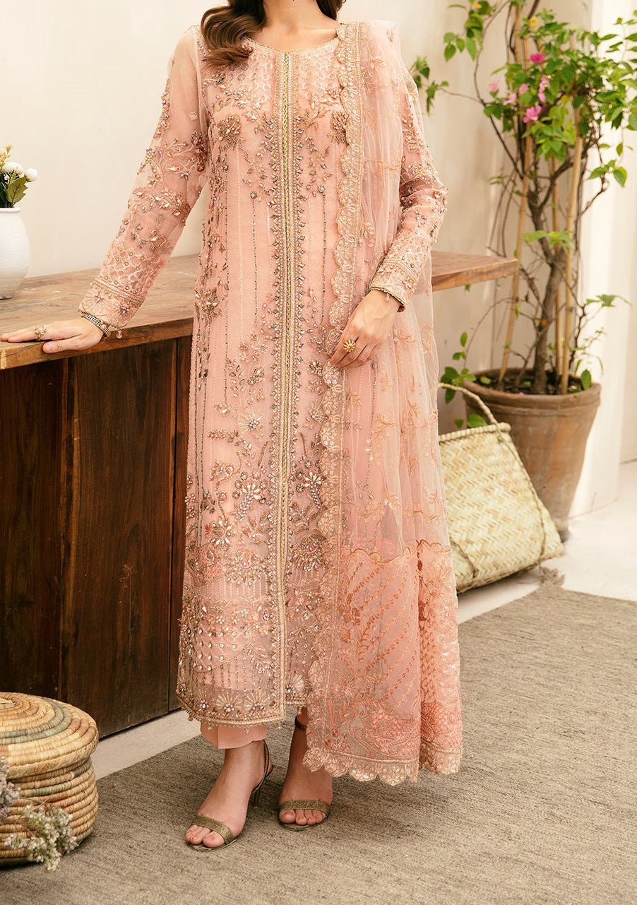 Ramsha Pakistani Luxury Organza Dress - db29111