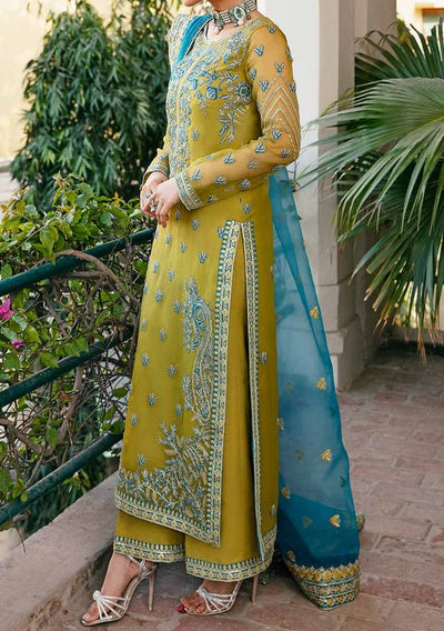 Akbar Aslam Davina Pakistani Luxury Organza Dress - db24749