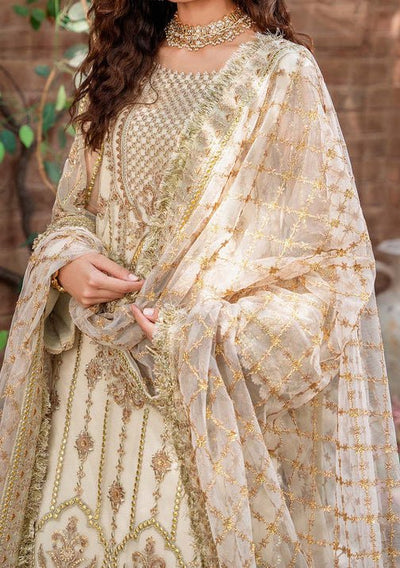 Akbar Aslam Mehrunisa Pakistani Luxury Net Dress - db24737