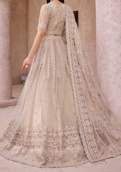 Emaan Adeel Pakistani Luxury Net Dress - db22656