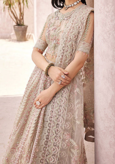 Emaan Adeel Pakistani Luxury Net Dress - db22656