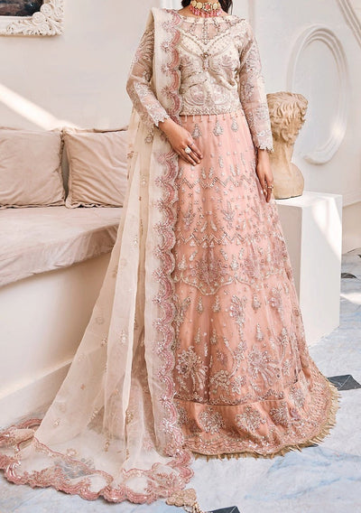 Emaan Adeel Pakistani Organza Anarkali Dress - db24254