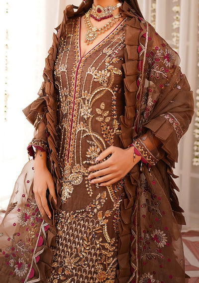 Maryam's Pakistani Luxury Organza Dress - db22399