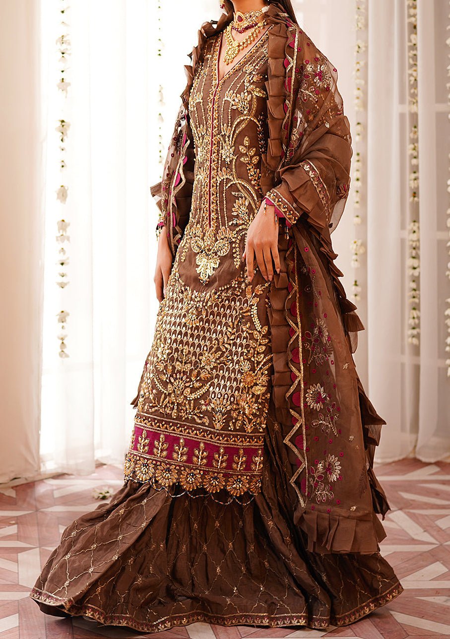 Maryam's Pakistani Luxury Organza Dress - db22399