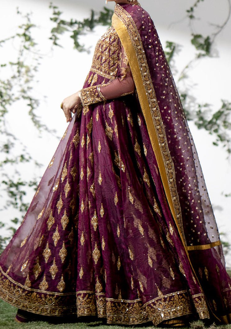 Maryum N Maria Manon Pakistani Organza Anarkali - db24758