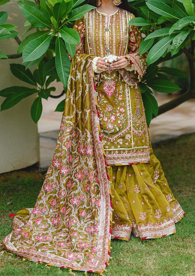 Pakistani Embroidered Master Copy Organza Dress - db21661