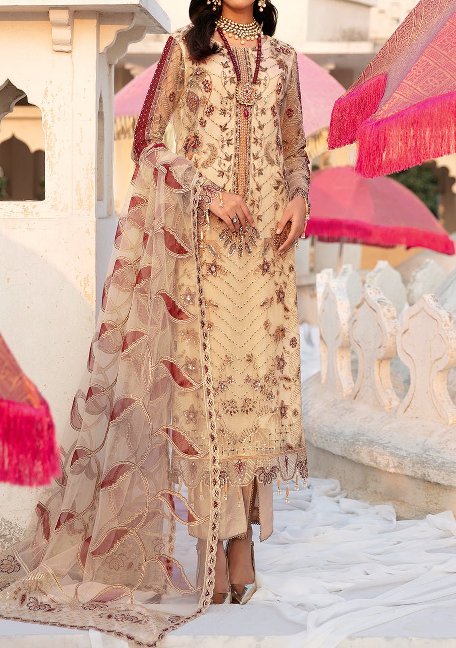 Ramsha Wedding Pakistani Luxury Net Dress - db24852